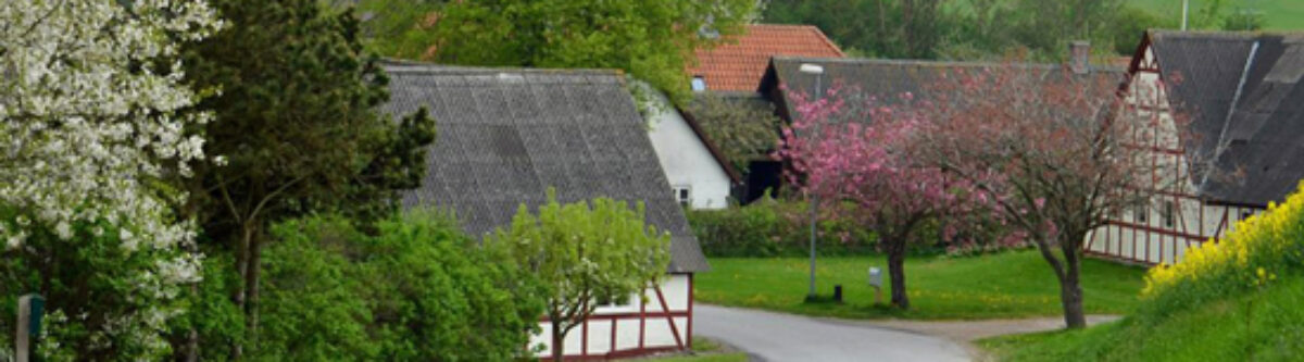 Viby Sogneforening